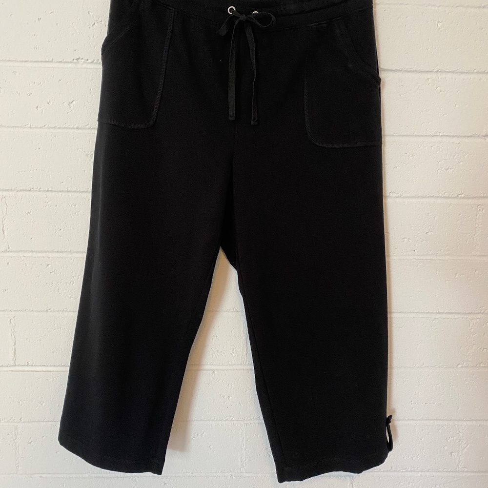 Karen Scott Crop Pants L NWOT